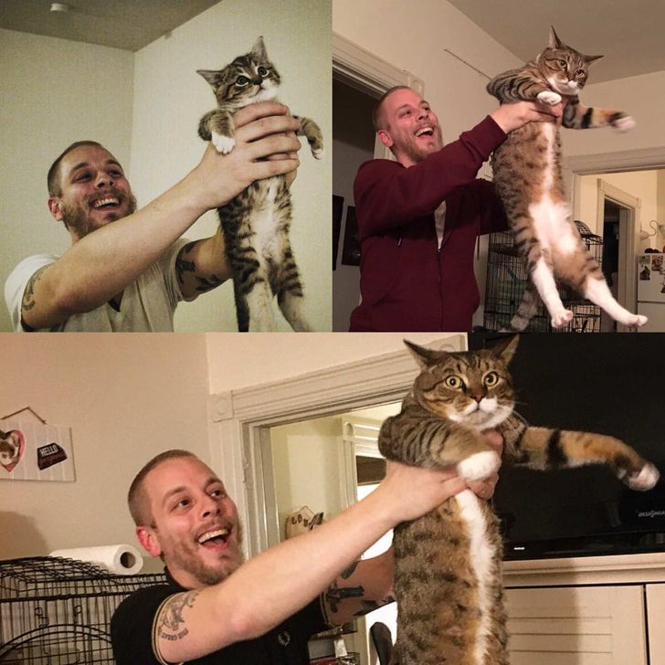 438d91580a9f22a23bf7998089