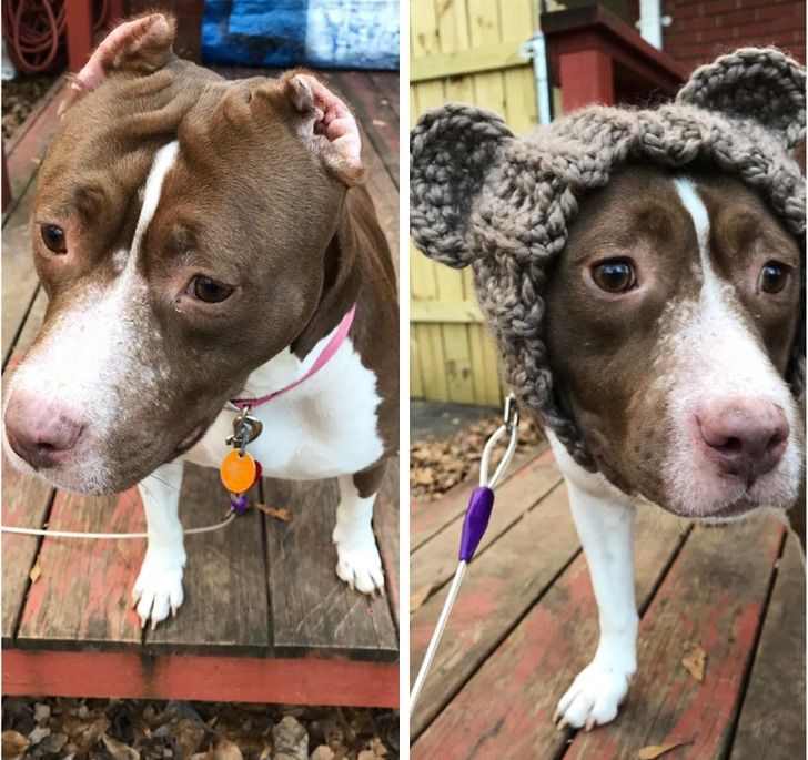 438de85bc3a47279ba789e7f62