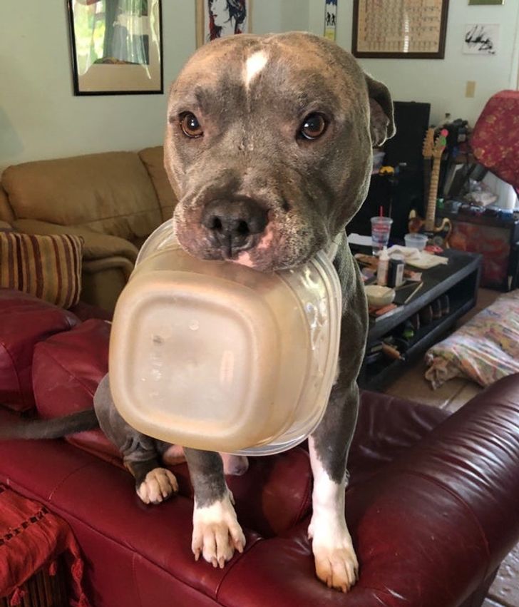 439623575fa32c122ca193209a