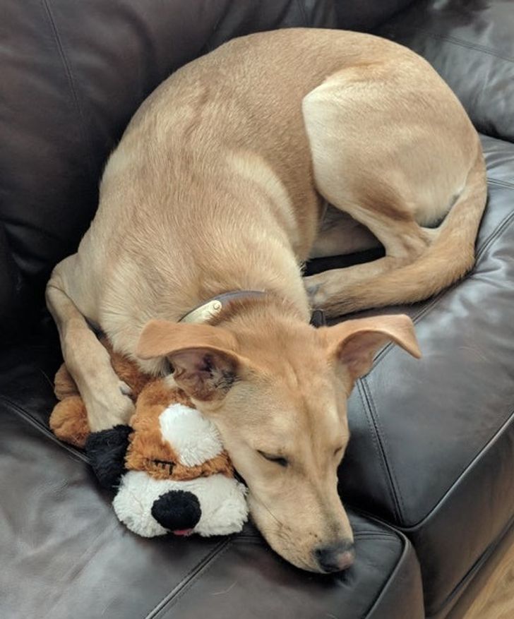 439fb058a28c3590c3ab918b62