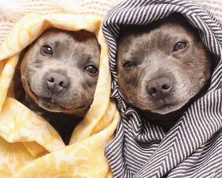 43a5f7566f90c73836039e25f7