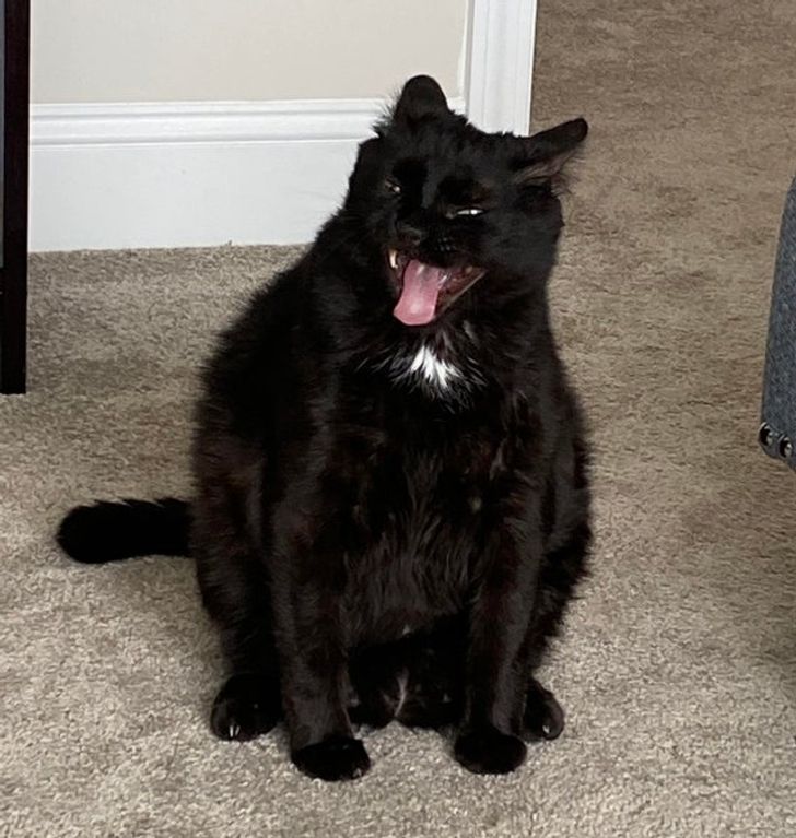 43a8585aac9ec284af51752528