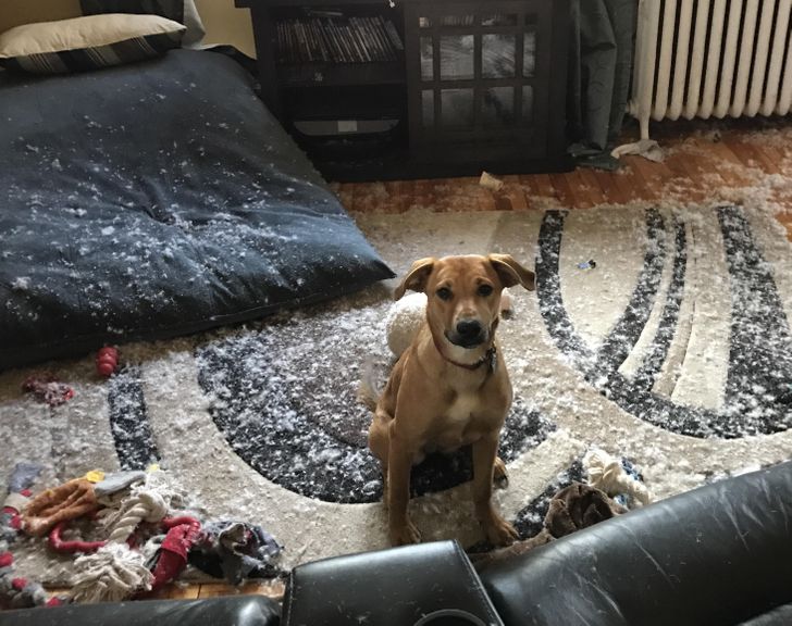 43ad65587089673900b4e410ef