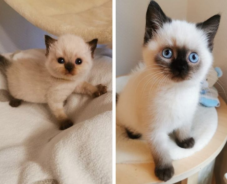 43b19f58e8be0bf86b2a366aeb