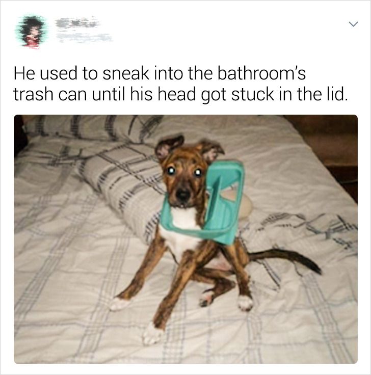 43b7dd5e2fa148c77291966759