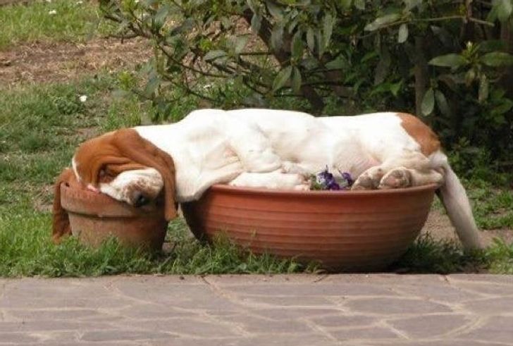 43b8e6535193d712b6e410eacd