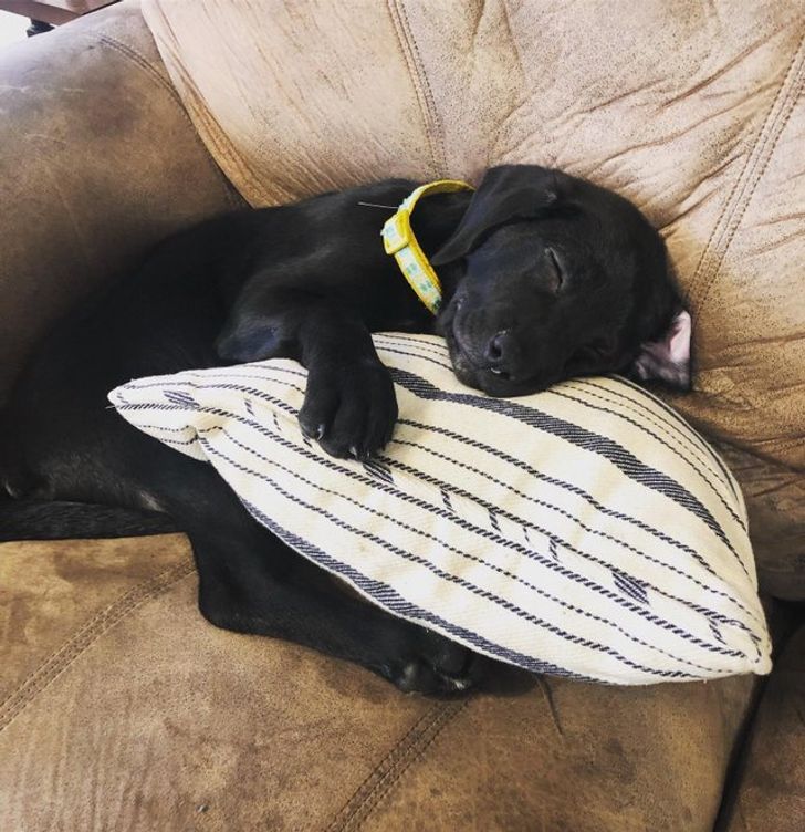 43b9ee5ac59dfd40ac93ac7b56