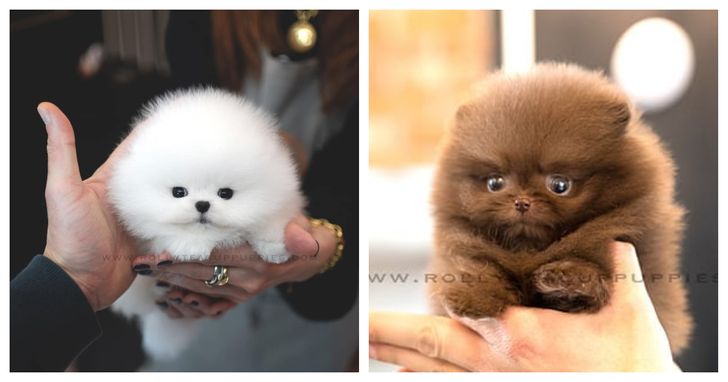 43babe5f178f3ec818295709a1