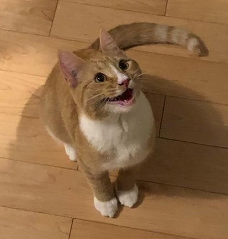 43c9725d1e98466f26e0112a68