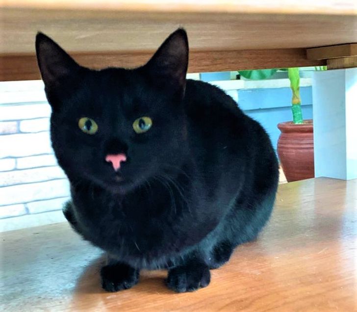 43cdfa523d81560a674f7df724