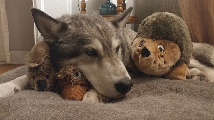 43cf4e5c3eabb67e5127f5d02b