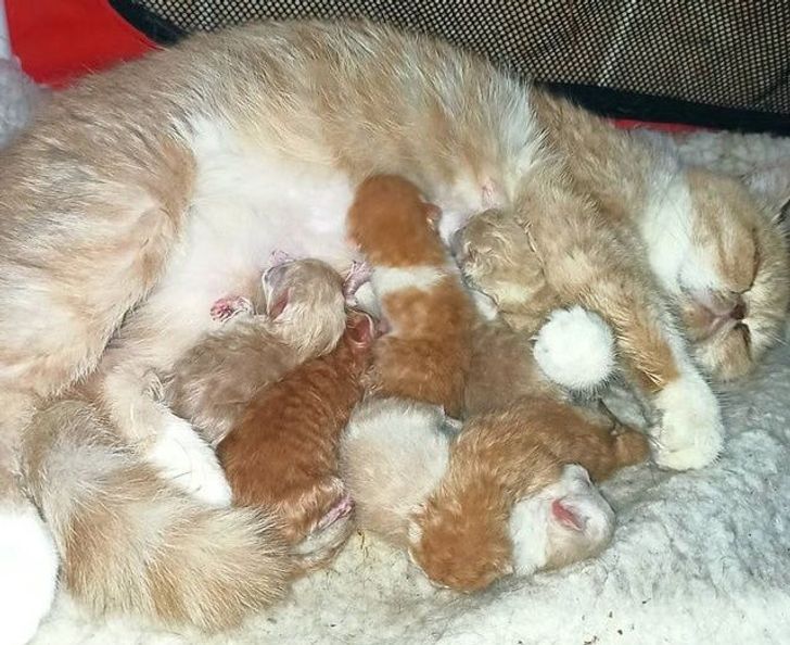 43d00a55cd9d3601a057cca572