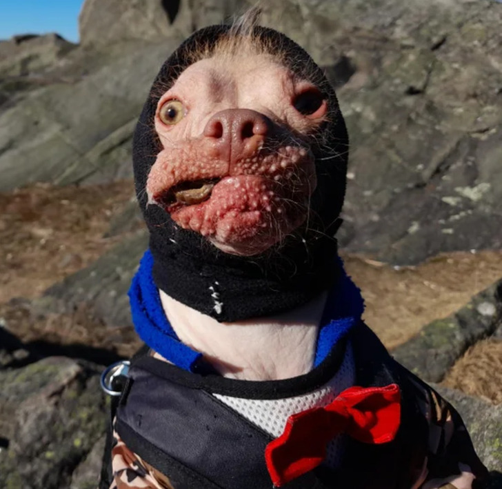 43d556588f9068a23a0bf15d9d