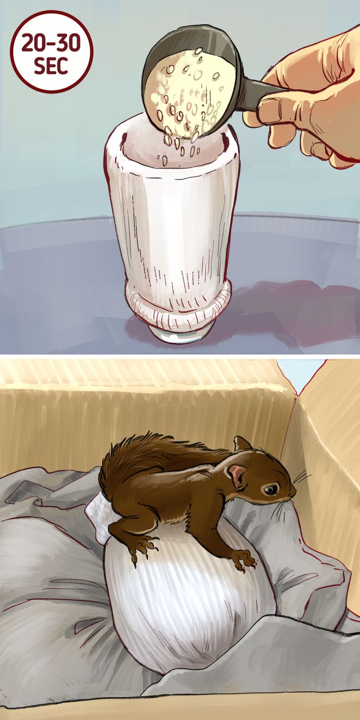 43d8765851b2b9a692d2b32596