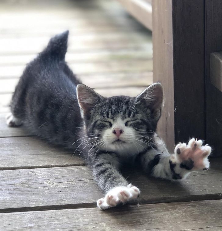 43d99d5bd4907d5a14bb719849