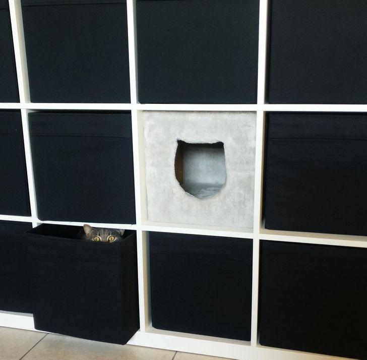 43dacc5b8c8cc44e823ed248ac