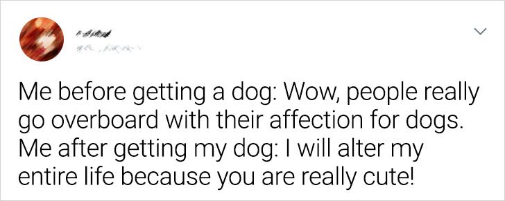 43e5b15c229b9df35b7a412c18