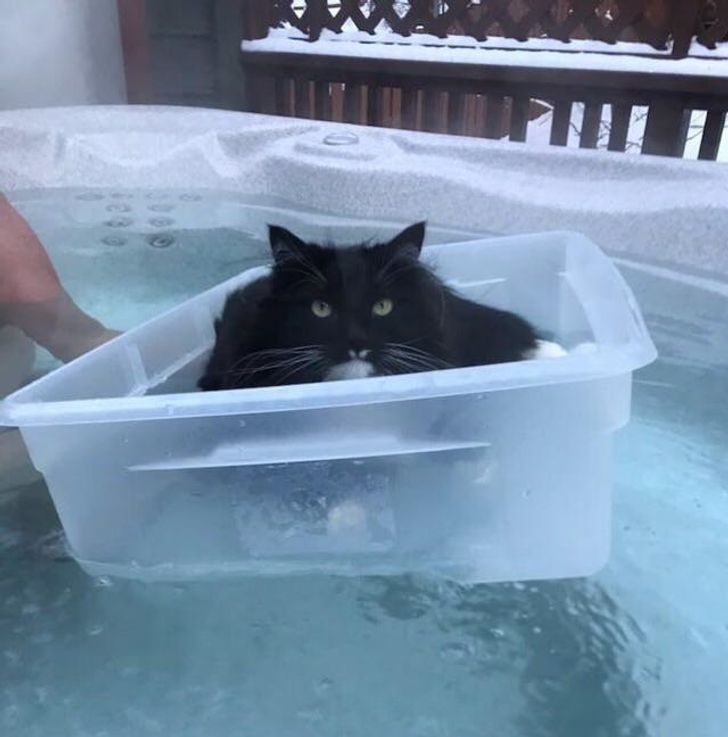 43e7ca5242ae51451782c3790a