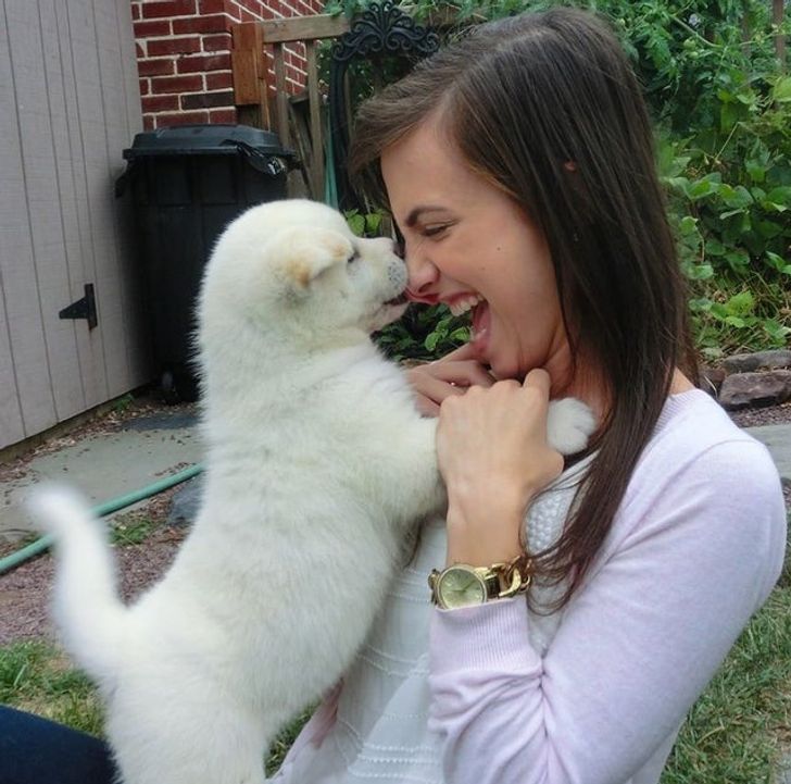 43f1f15da5b97713248d80a421