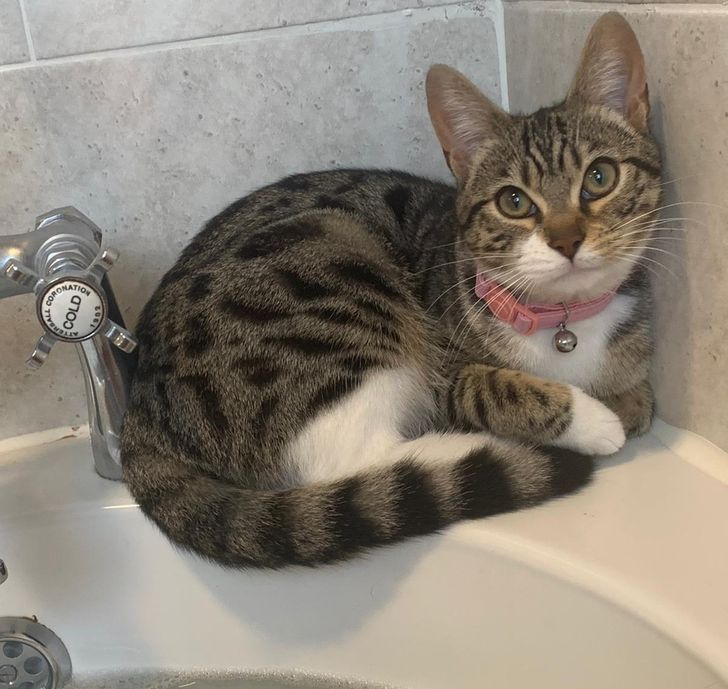 43f6a75ec9b48ac88f66bae0d8