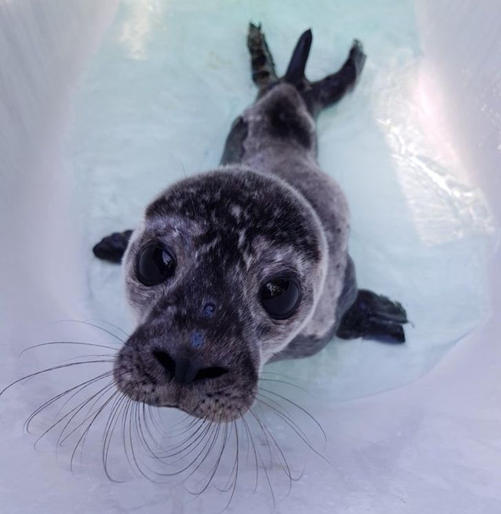 4406f05b77bf5a0bd2ae162c90