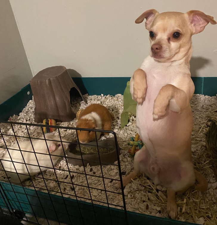 4408d45444bb66519edfdfd122