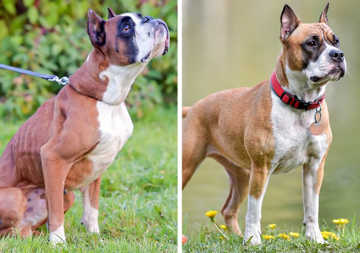 440b2a5e57abd1a36c24599eac