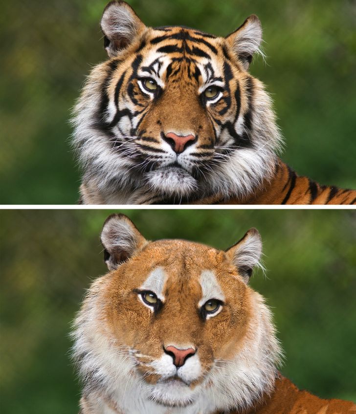 4410d353eeb85538584ea4111e