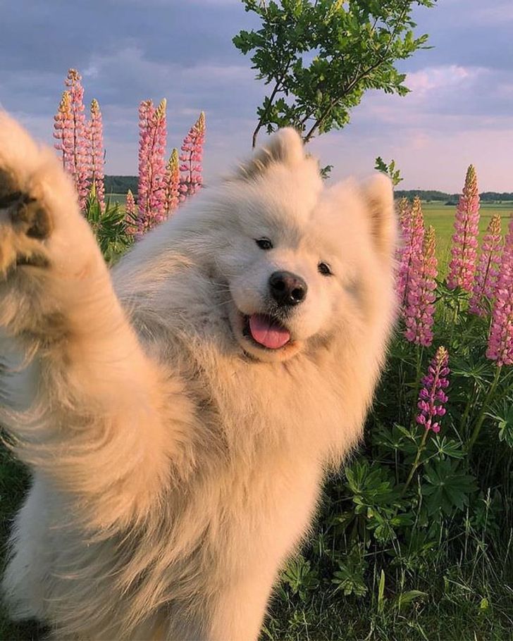 44122c5205806e425bd1b6e3b6