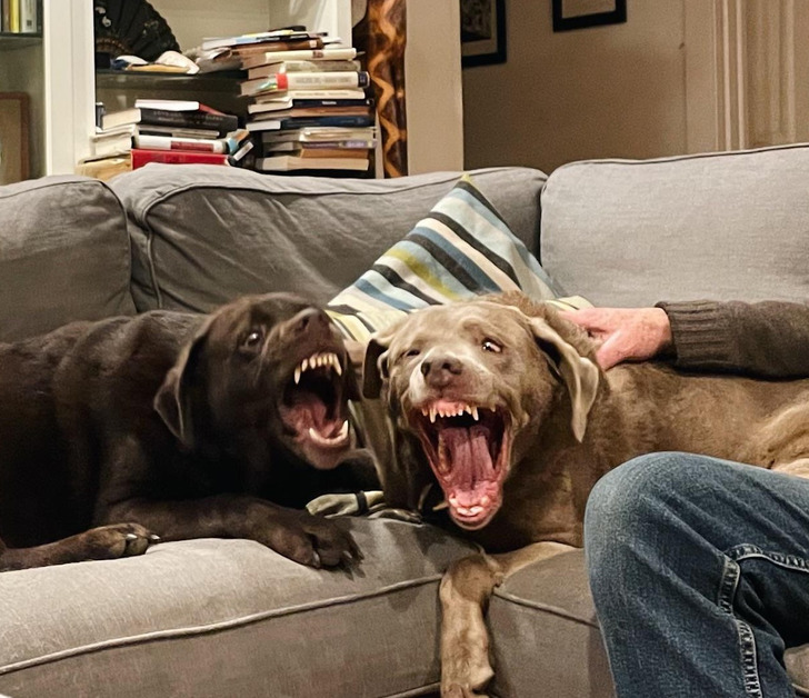 44169557fe8f7ebe6a785a32cf