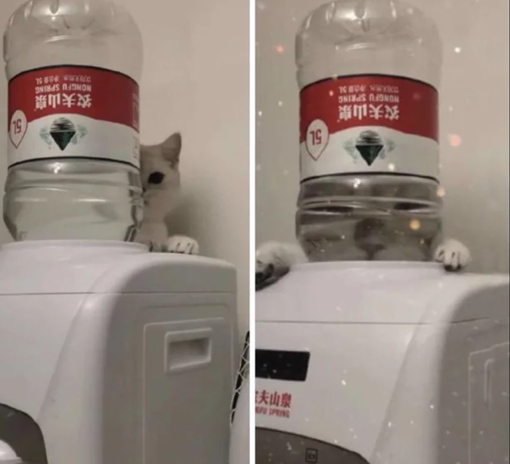 4416e05c43aa04f9aed0d5bfb0 4416e05c43aa04f9aed0d5bfb0