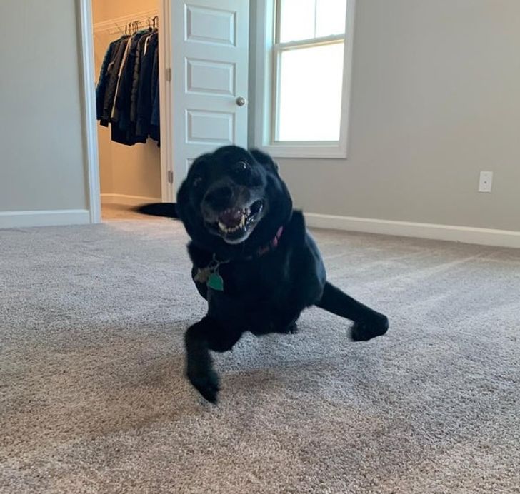 4418ab51ae8c57526c3b2b1c45