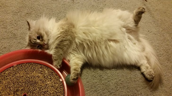 441af250398ef2b9910b104863