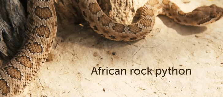 44200c53eaa617ee92f0e8795b