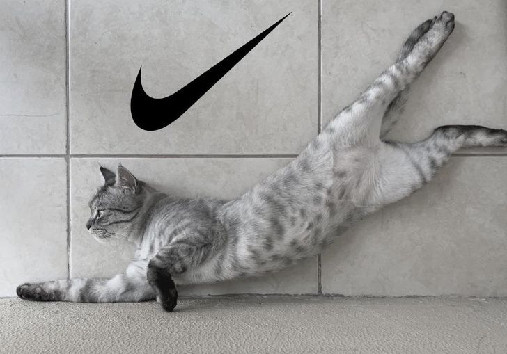 44236b5c7da058fb9d09e8c319