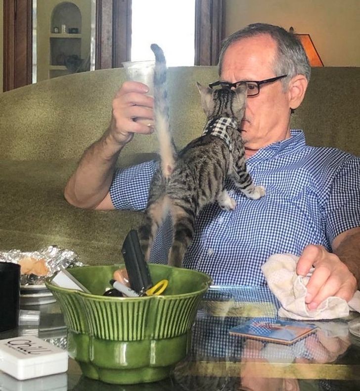 442d975a6f97667a5fdcdc223b