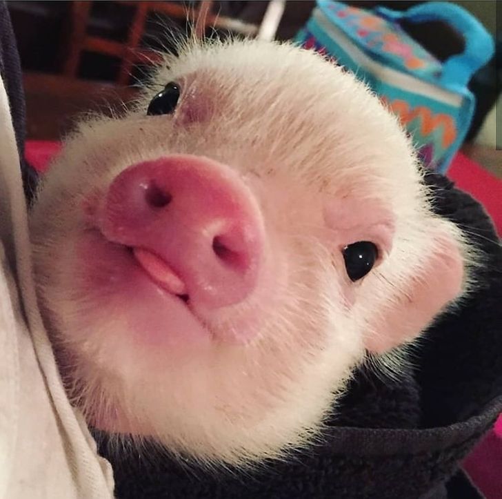 442f92578289ef96ed21dad2c1