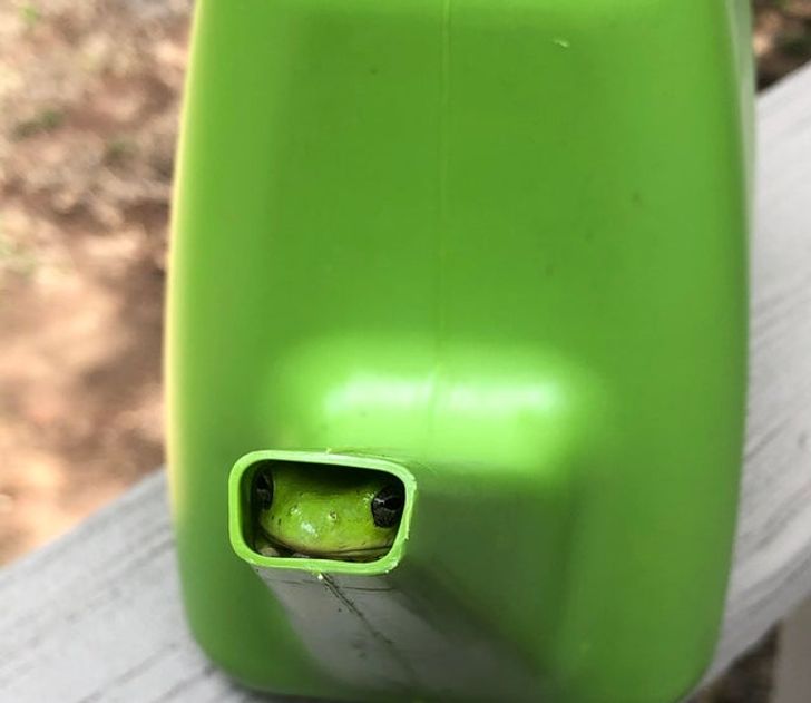 4431d95b508d98f712250f559b