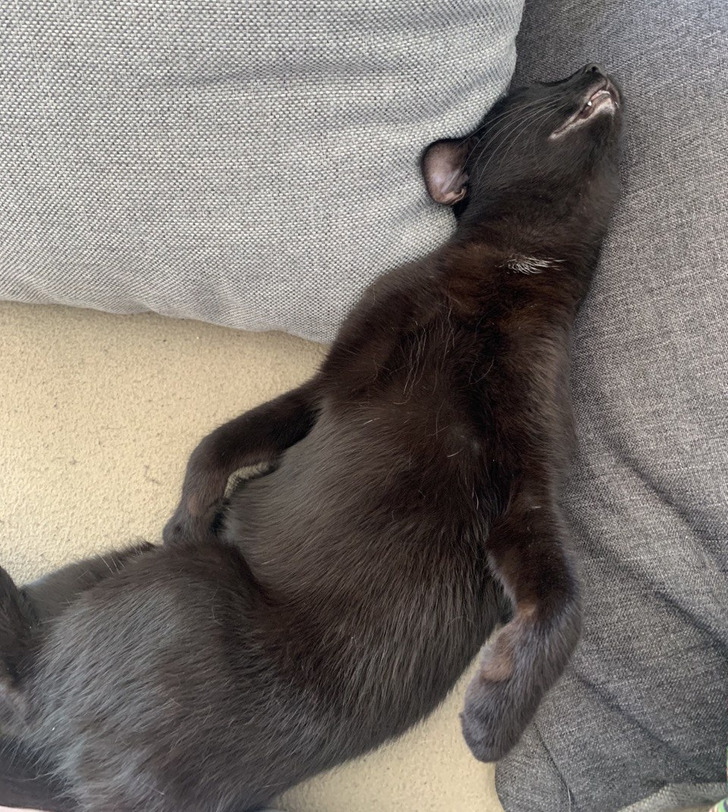 4433d35e09a39b6696b02d3dd8