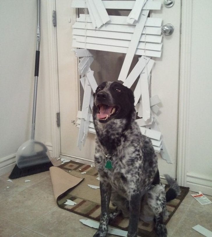 44374b561d9a5733fe13abc389