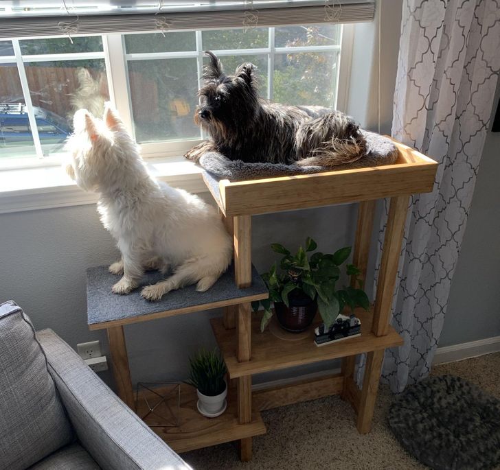 4438795799b445e1893f9898f0