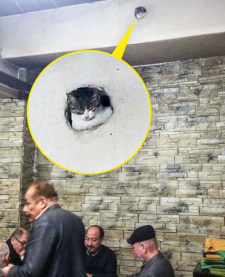 4439885a31b668102879d6ab42