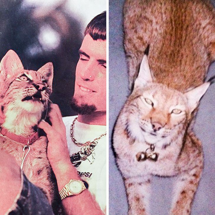 4443925690ac613f78f44c332f