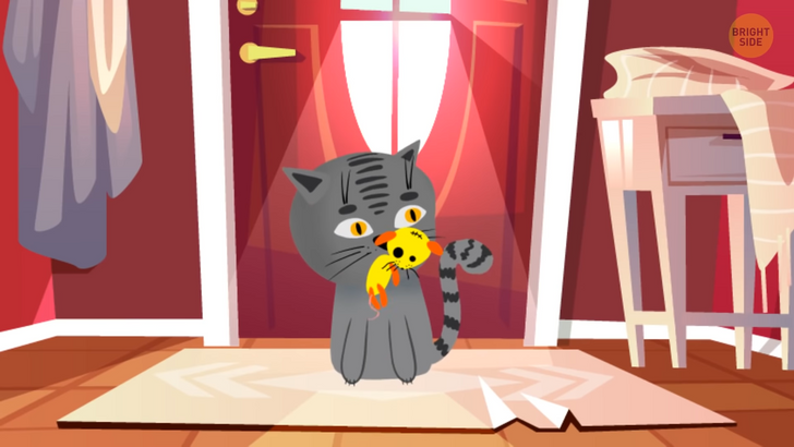 4446dd59b886ad2b3604926bb8