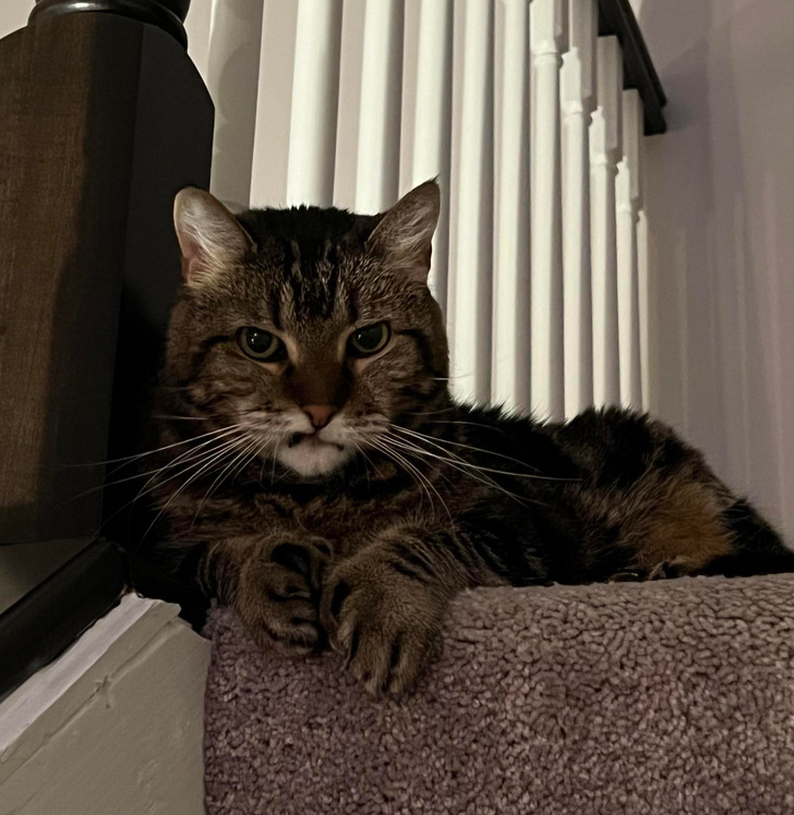 4449b359a88f0461fbbbf6a40c 4449b359a88f0461fbbbf6a40c