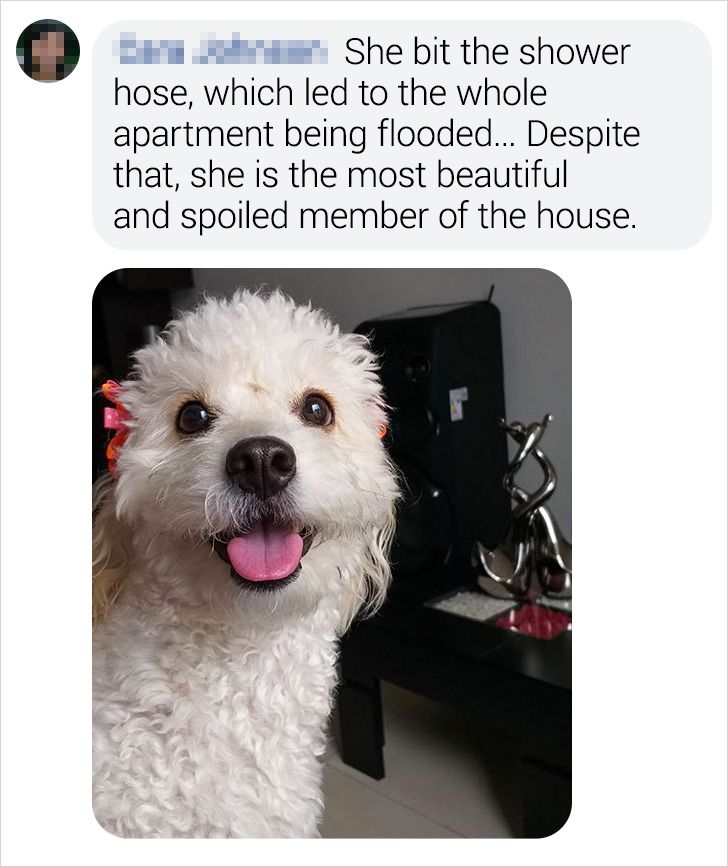 444dba5bb18c106bd15c7cd72e