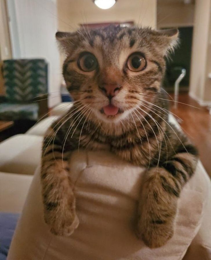 4463d355a9b2c5ed941d5c1260