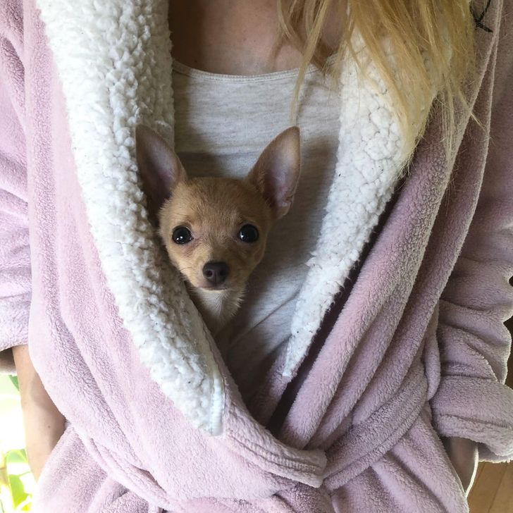 44660e51baab77d7a1e4afeacf