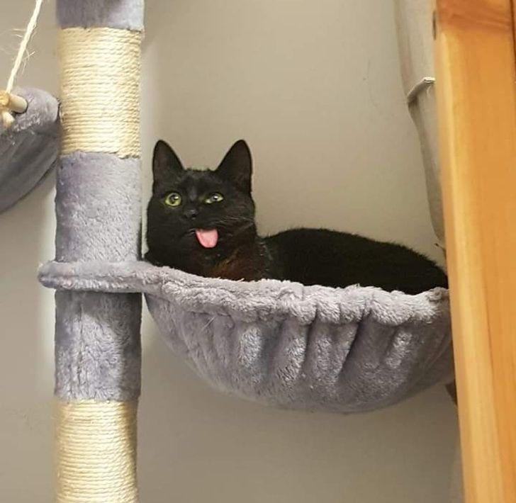 4469ff5f6383f8cd219ef5554f