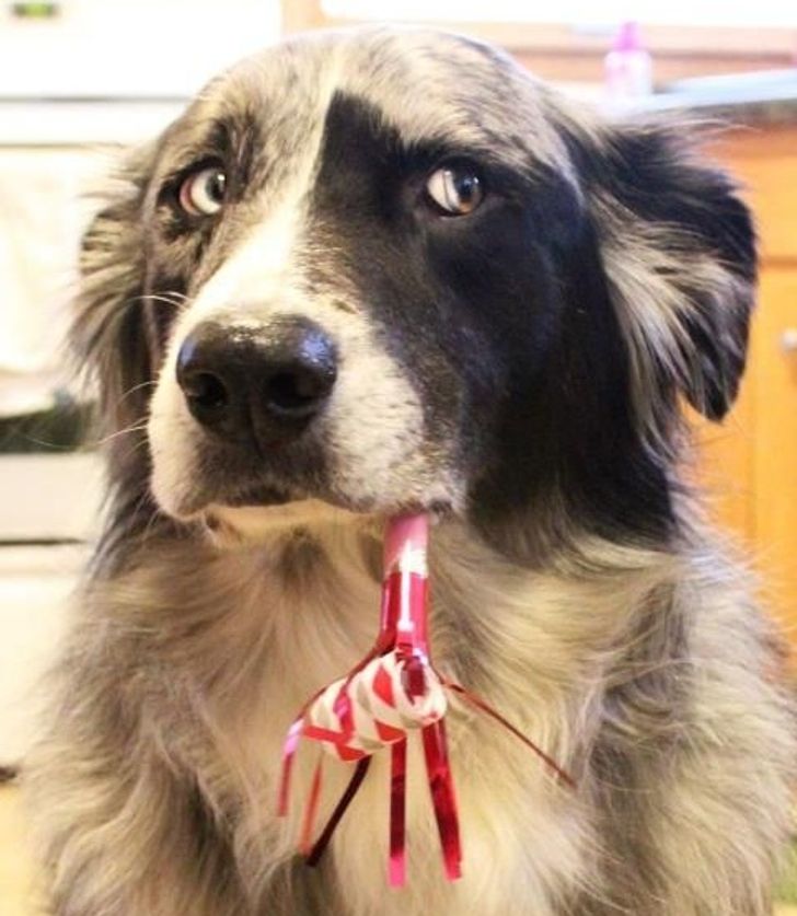 44705a5c399587fff1921e72ae